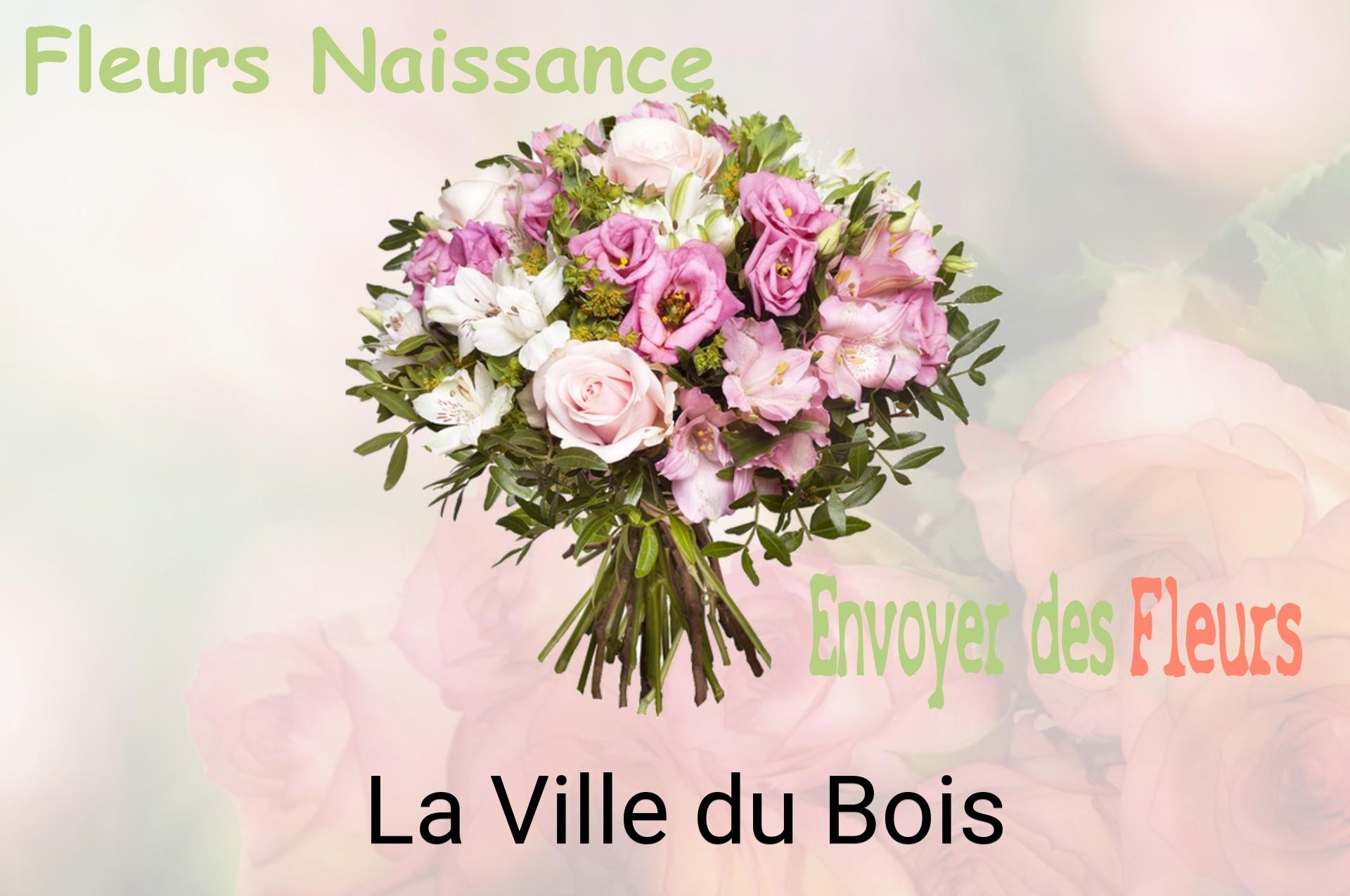 Bouquet de fleurs de naissance livré à La Ville-du-Bois